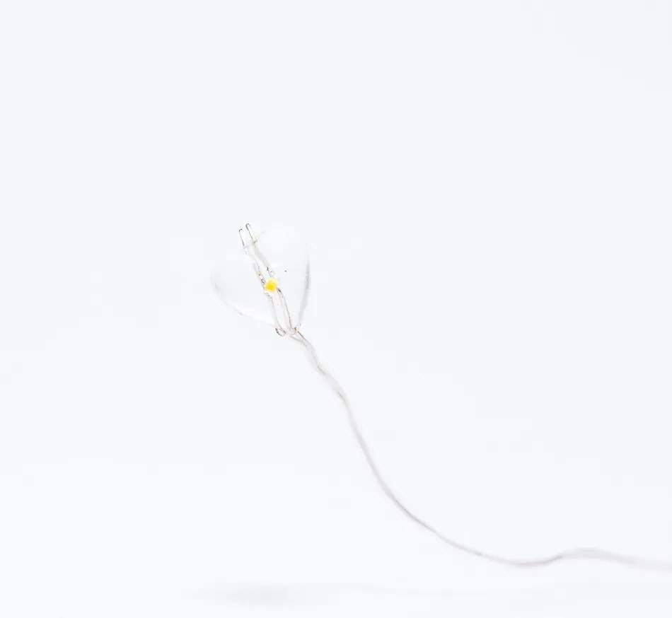 DECOLED Svetelná reťaz LED na batérie, so srdiečkami, teplá biela, 20 LED, 2,3 m