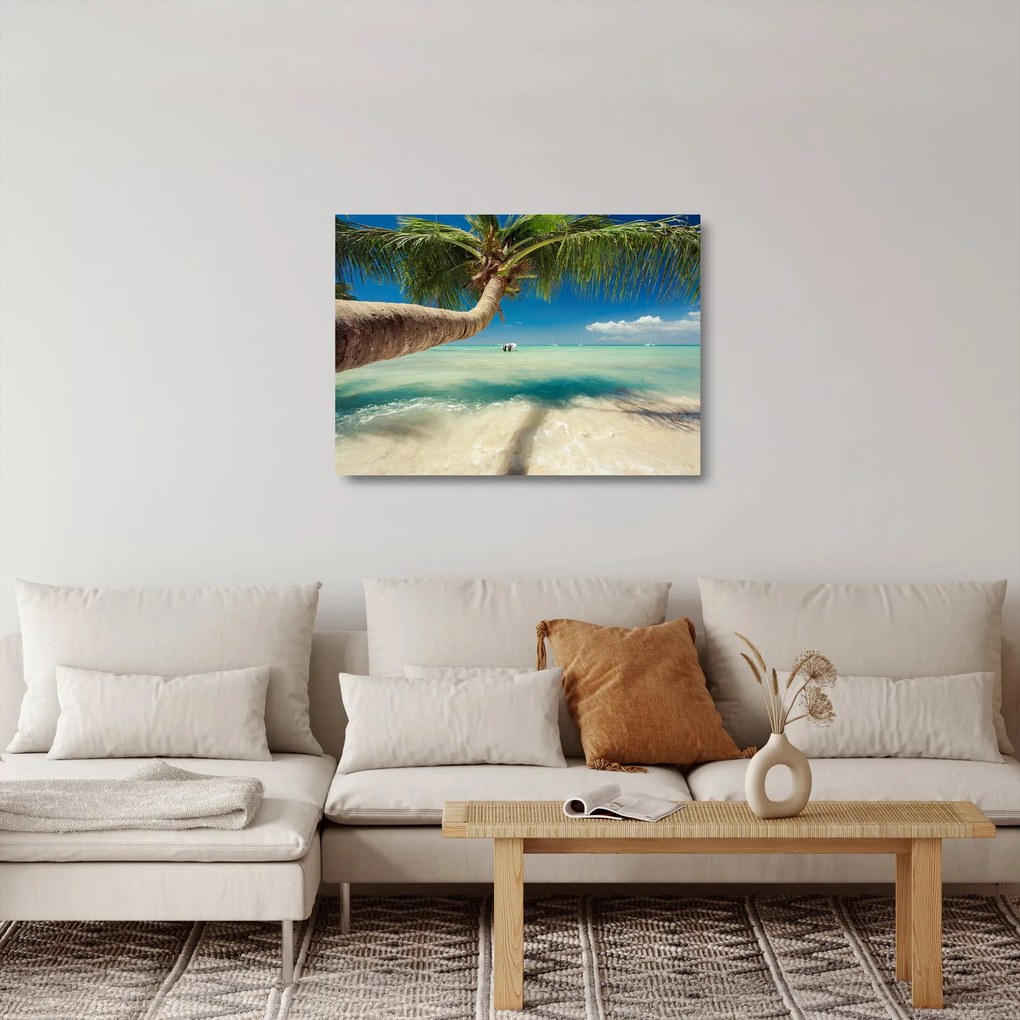 Sklenený obraz - Čisté more s palmou (70x50 cm)