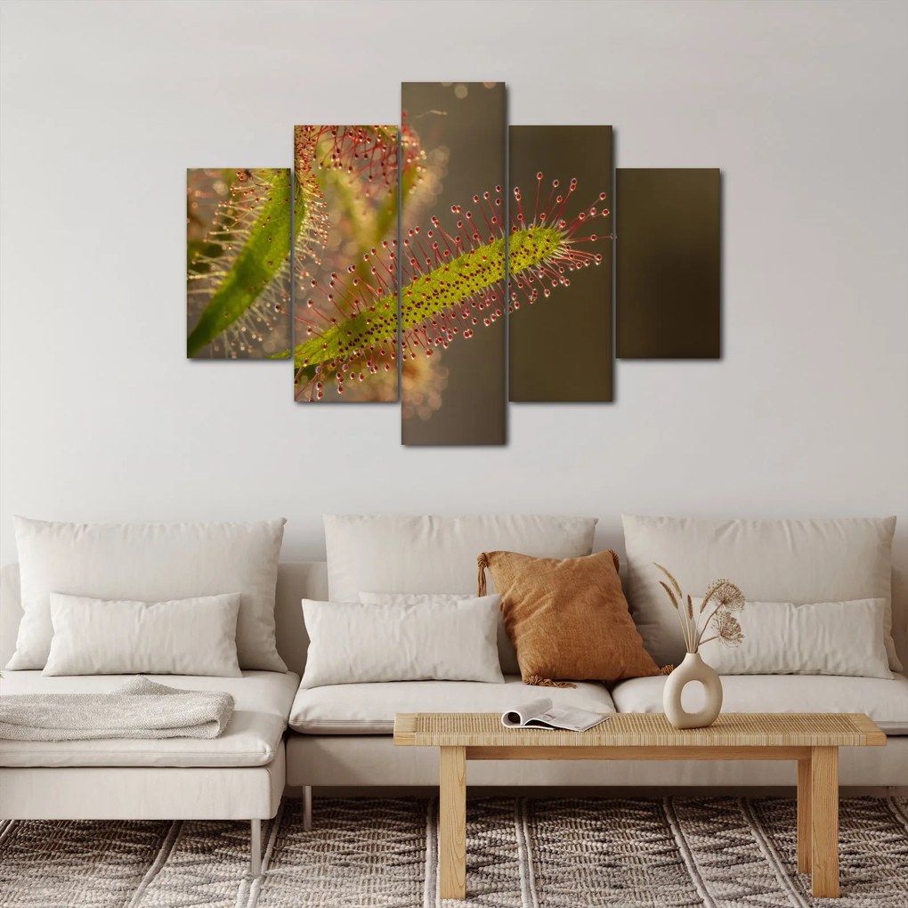 Obraz rastliny (150x105 cm)