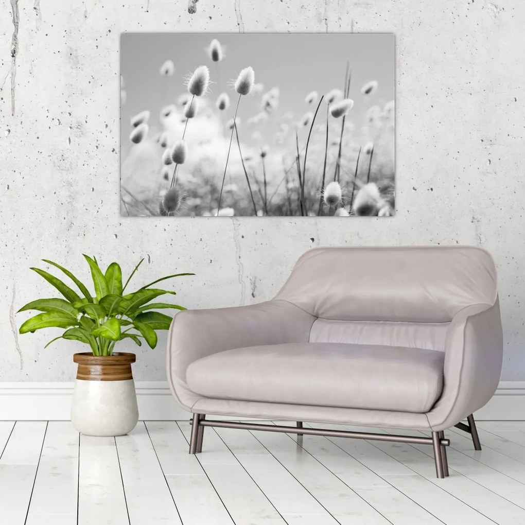 Obraz - Boho bunny tail grass (90x60 cm)