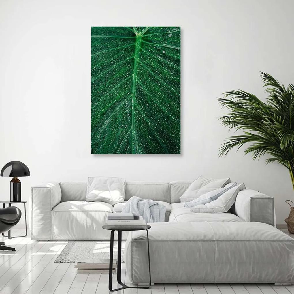 Obraz na plátně List Příroda Rostlina Zelená - 80x120 cm
