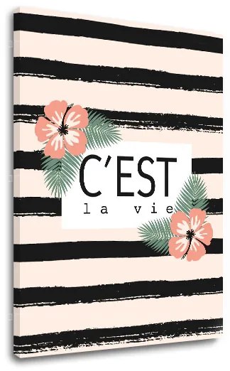 Obraz na stenu s textom C est la vie | rôzne rozmery