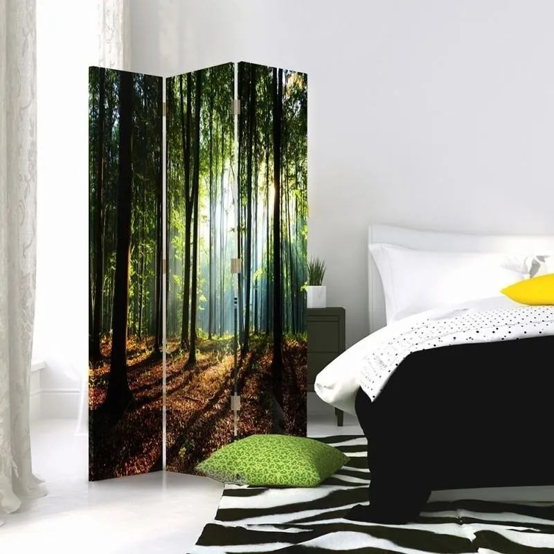 Gario Paraván Slnečné lúče v lese Rozmery: 180 x 170 cm, Prevedenie: Otočný paraván 360°