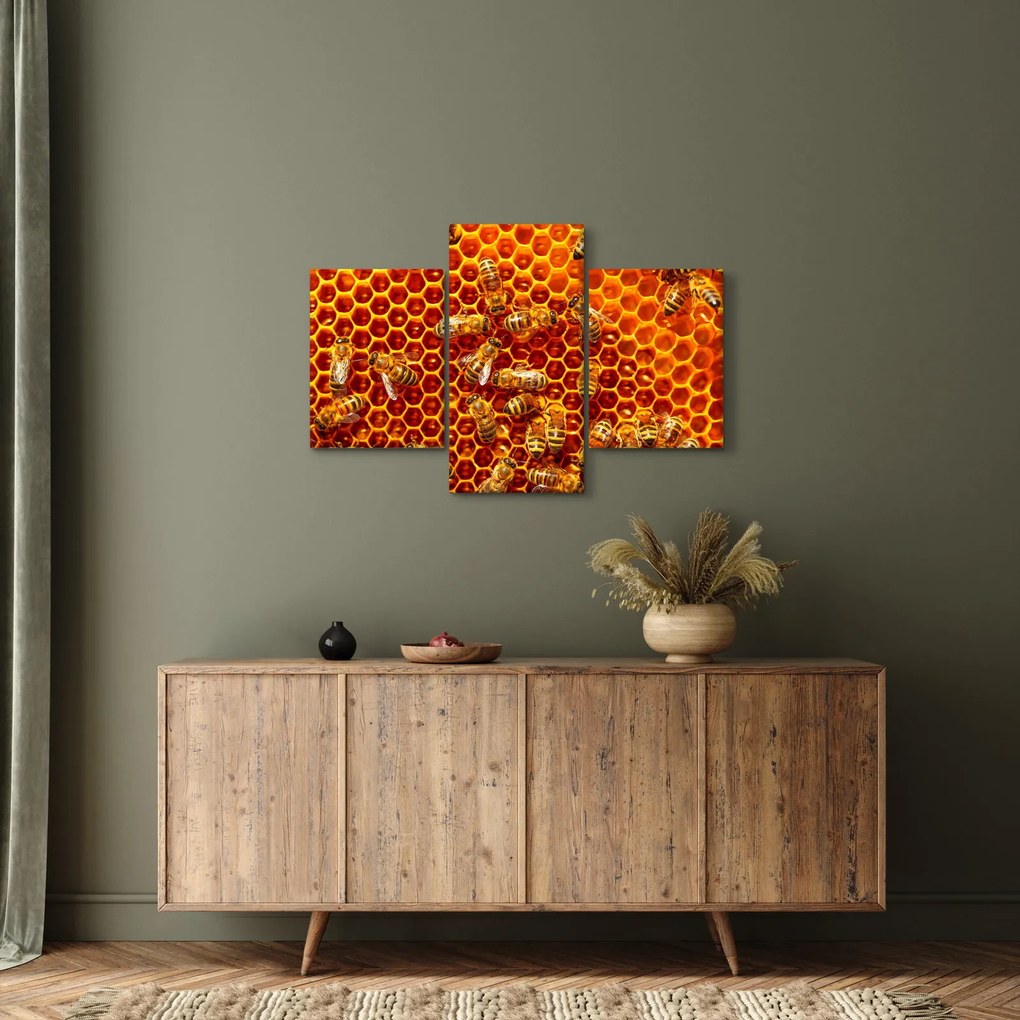 Obraz - Medový plást (90x60 cm)