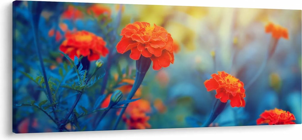 Obraz - Oranžové kvety (120x50 cm)