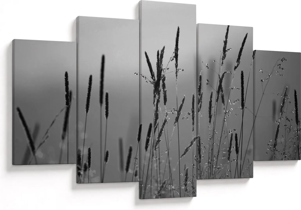 Obraz - Steblá trávy (150x105 cm)