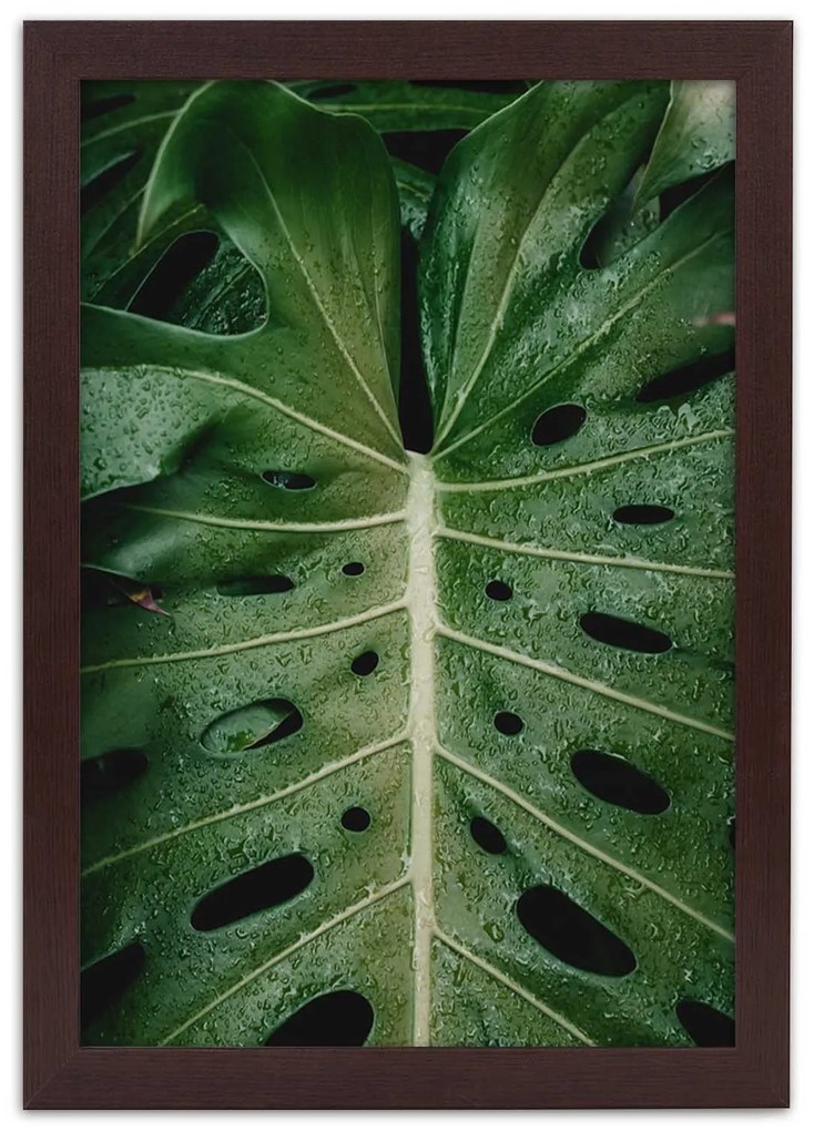 Gario Plagát List ikonickej monstery Farba rámu: Bez rámu, Rozmery: 20 x 30 cm