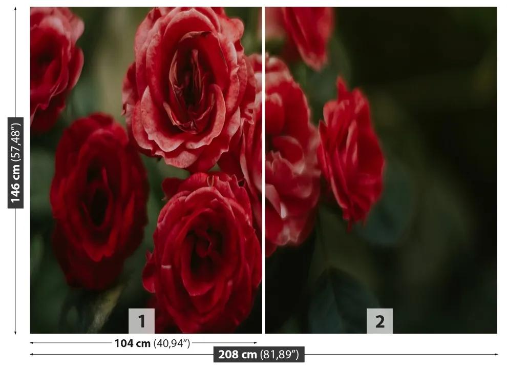 Fototapeta Vliesová Vintage ruže 104x70 cm