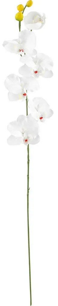 XXXLutz UMELÝ KVET orchidea 72 cm - Kvetinové dekorácie - 0041770763