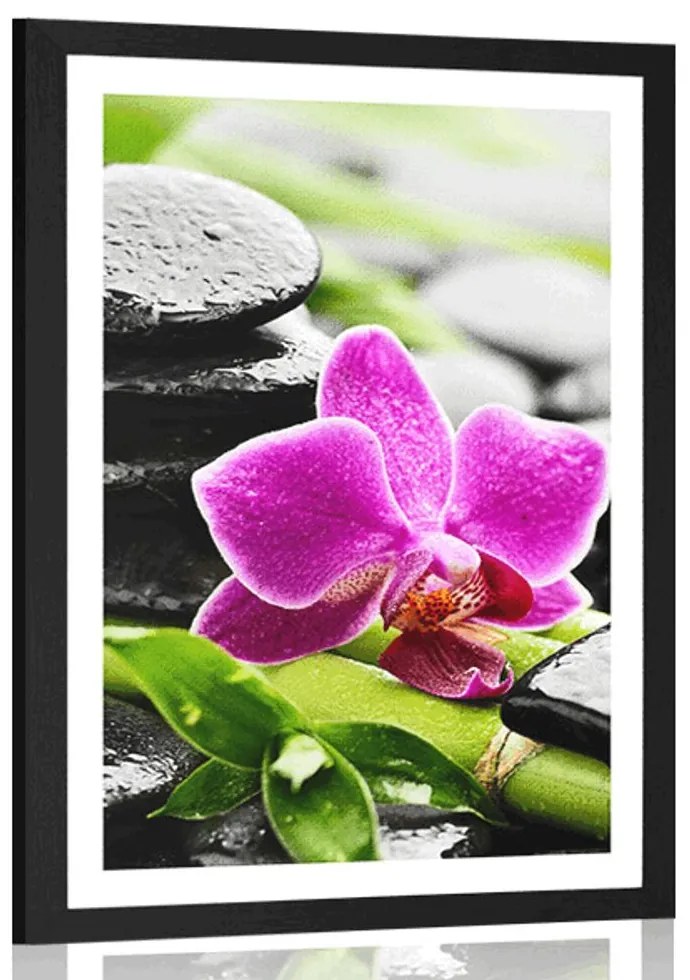 Plagát s paspartou wellness zátišie s fialovou orchideou - 40x60 white