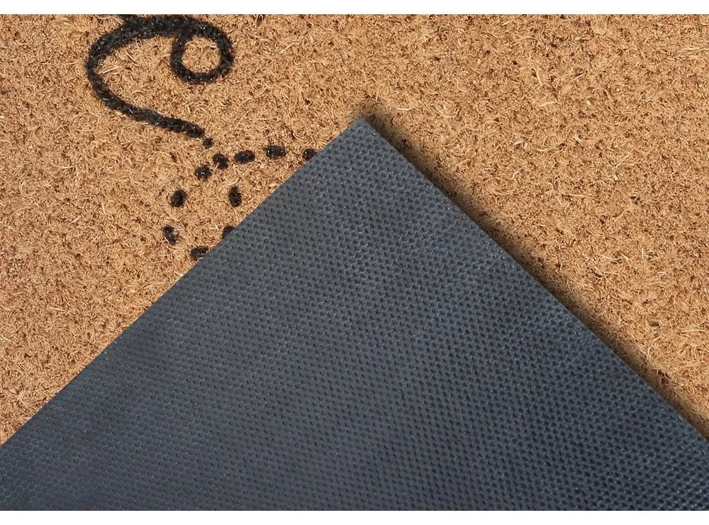 Rohožka 70x45 cm Mix Mats - Hanse Home