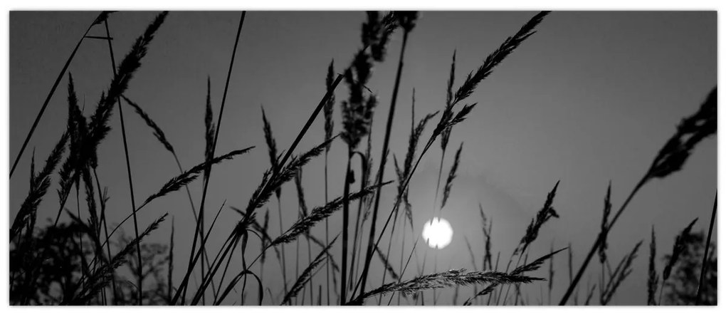 Obraz - Lúka so západom slnka (120x50 cm)
