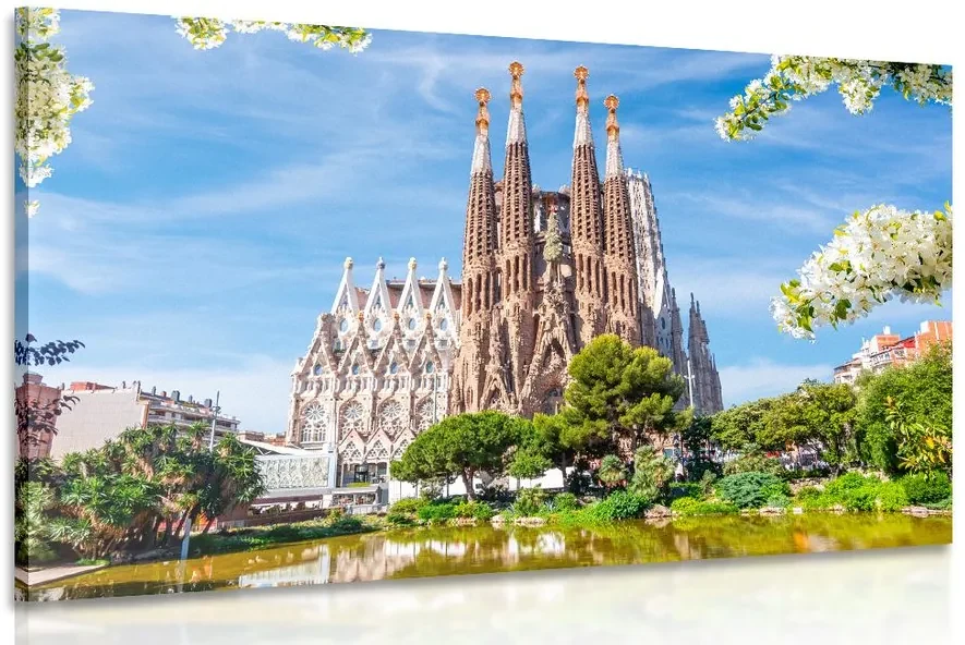 Obraz katedrála v Barcelone