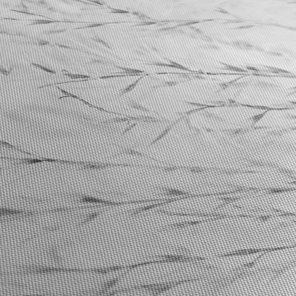 Obraz - Pampas grass N⁰2 (90x60 cm)