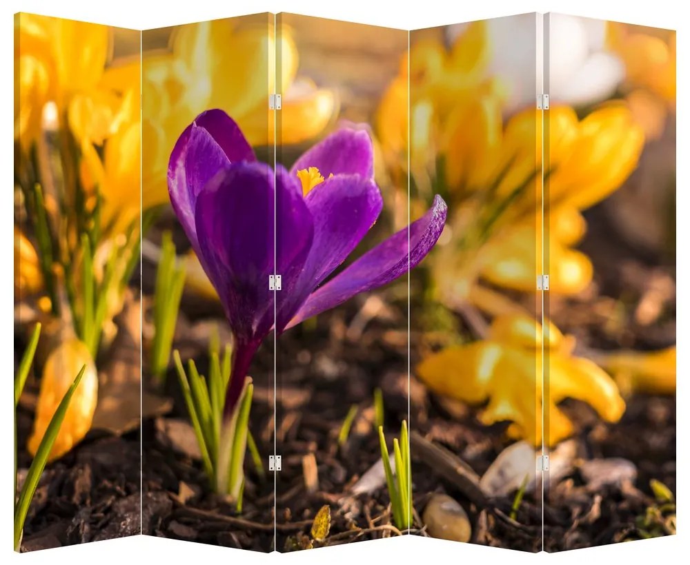 Paraván - Fialová kvetina (210x170 cm)