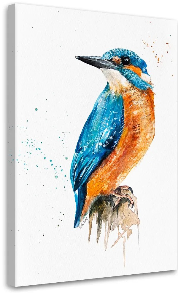 Gario Obraz na plátne Kingfisher - Dorota Martyńska Rozmery: 60 x 90 cm
