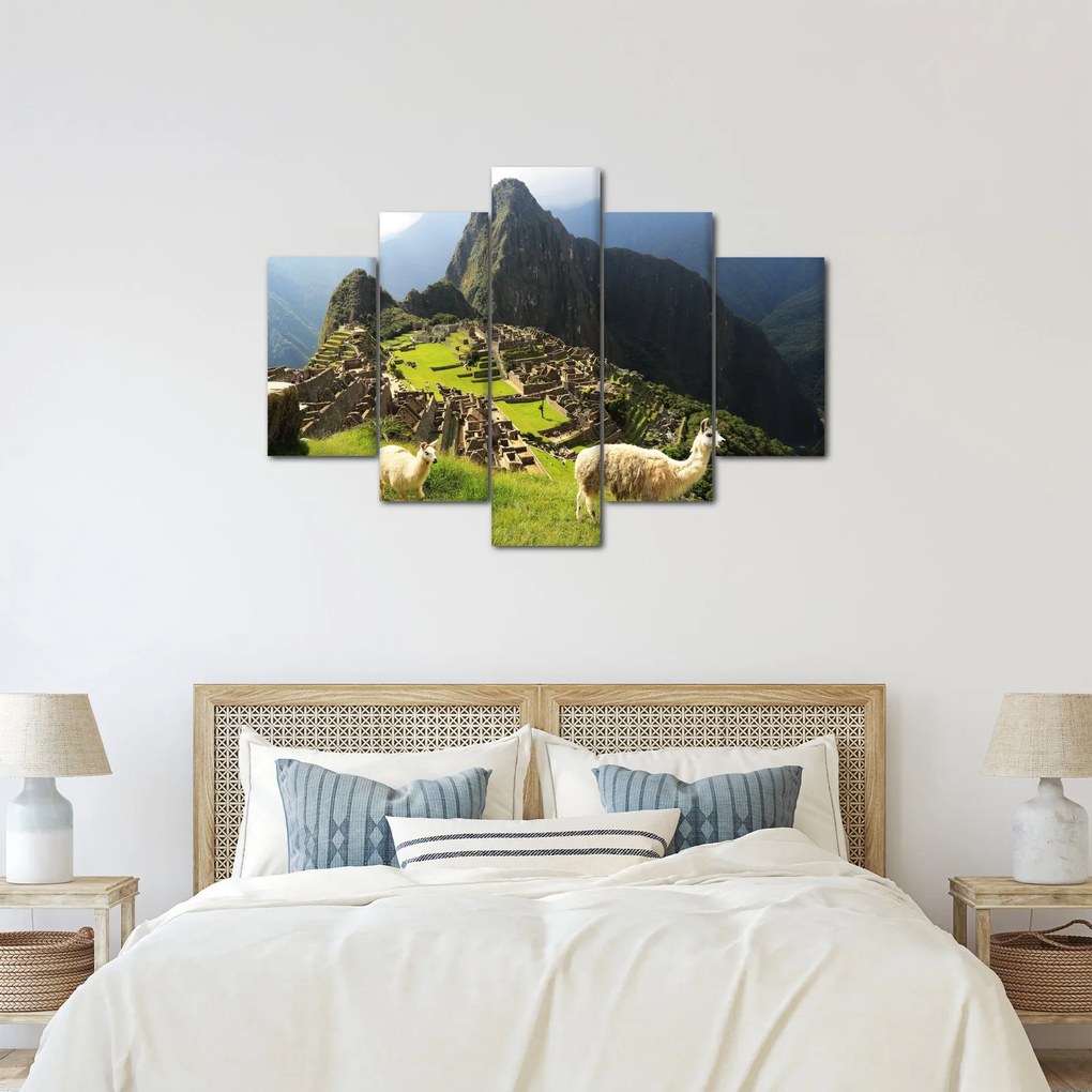 Obraz - Lamy v Machu Picchu (150x105 cm)