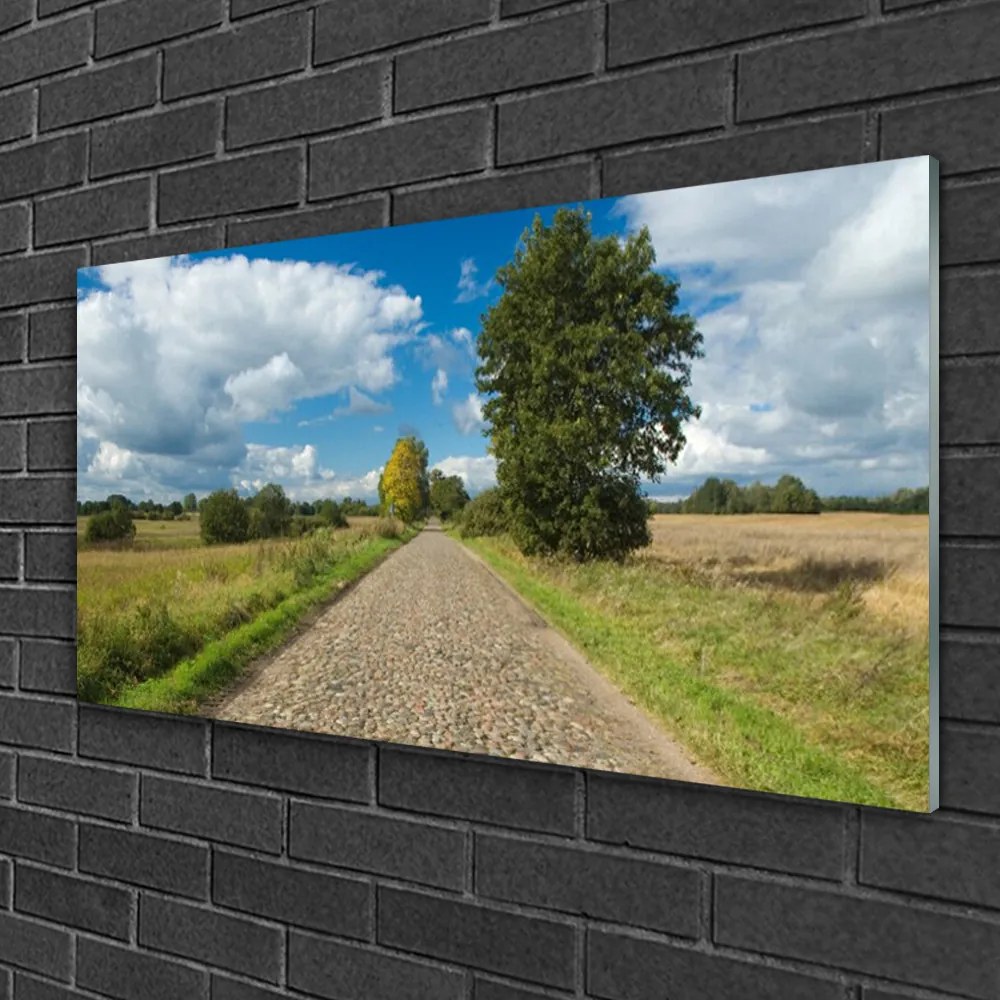 Obraz na skle Dedina cesta dlažba krajina 100x50 cm