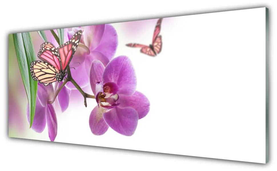 Obraz plexi Motýle kvety príroda 125x50 cm