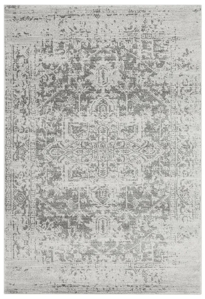 Sivý koberec 120x170 cm Nova – Asiatic Carpets