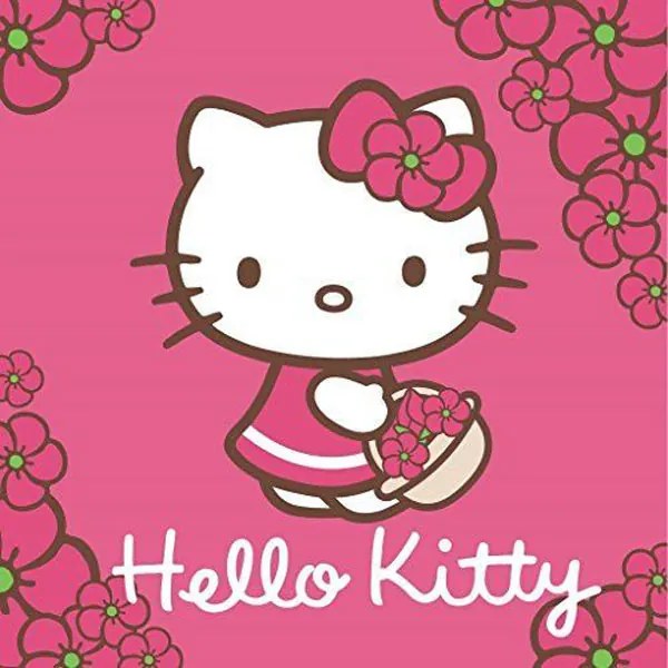 DETEXPOL Magický uterák Hello Kitty Bavlna/Froté, 30/30 cm
