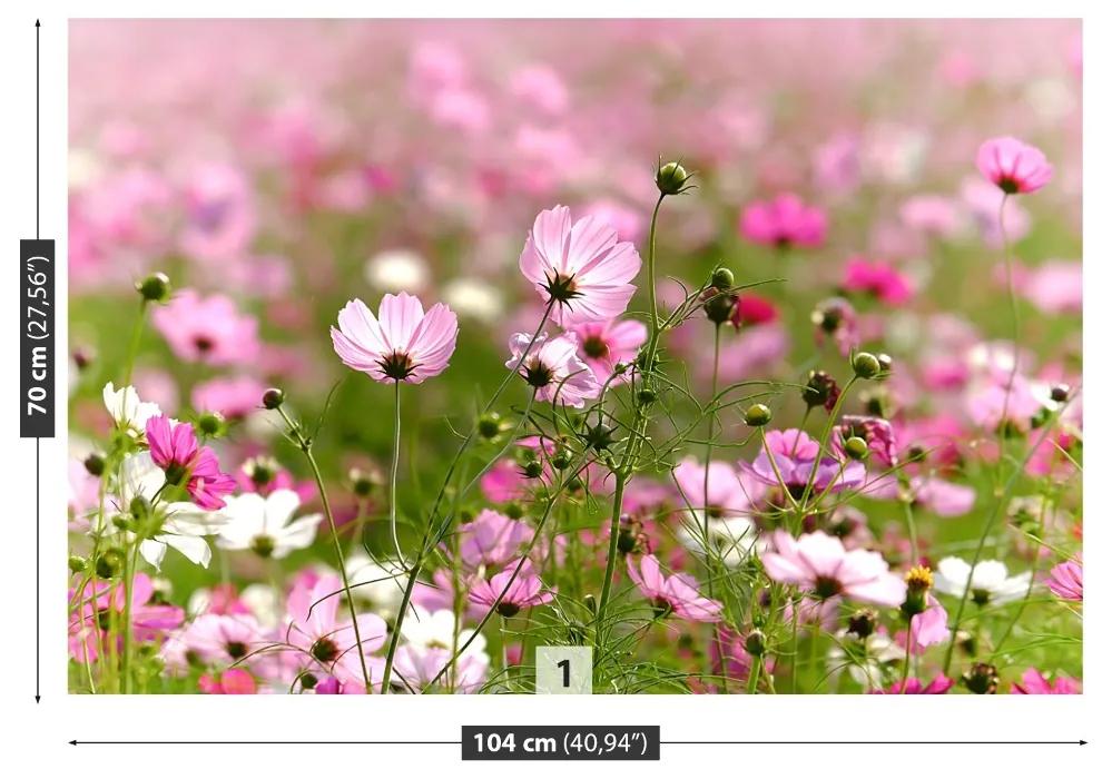 Fototapeta Vliesová Vesmír kvety 152x104 cm