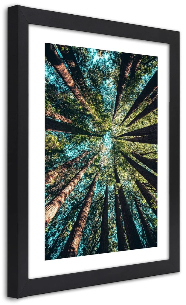 Gario Plagát Konáre vysokých stromov Farba rámu: Bez rámu, Rozmery: 40 x 60 cm