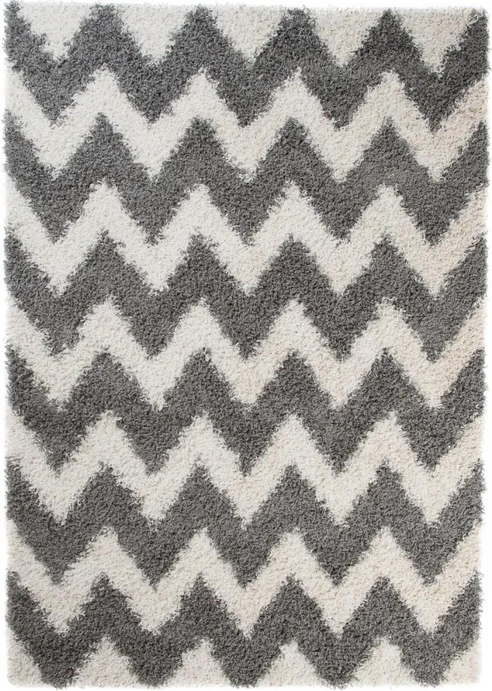 Kusový koberec Shaggy Frida sivý, Velikosti 80x150cm