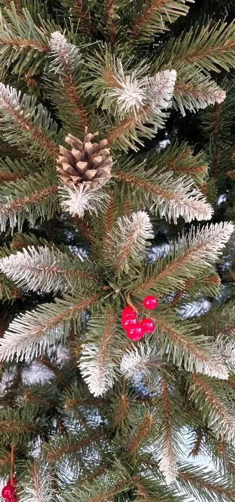 JAKS SMREK S JARABINOU 150CM