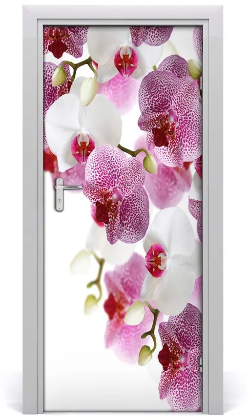 Fototapeta na dvere orchidea 75x205 cm