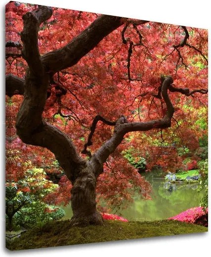 Obraz na stenu STROMY