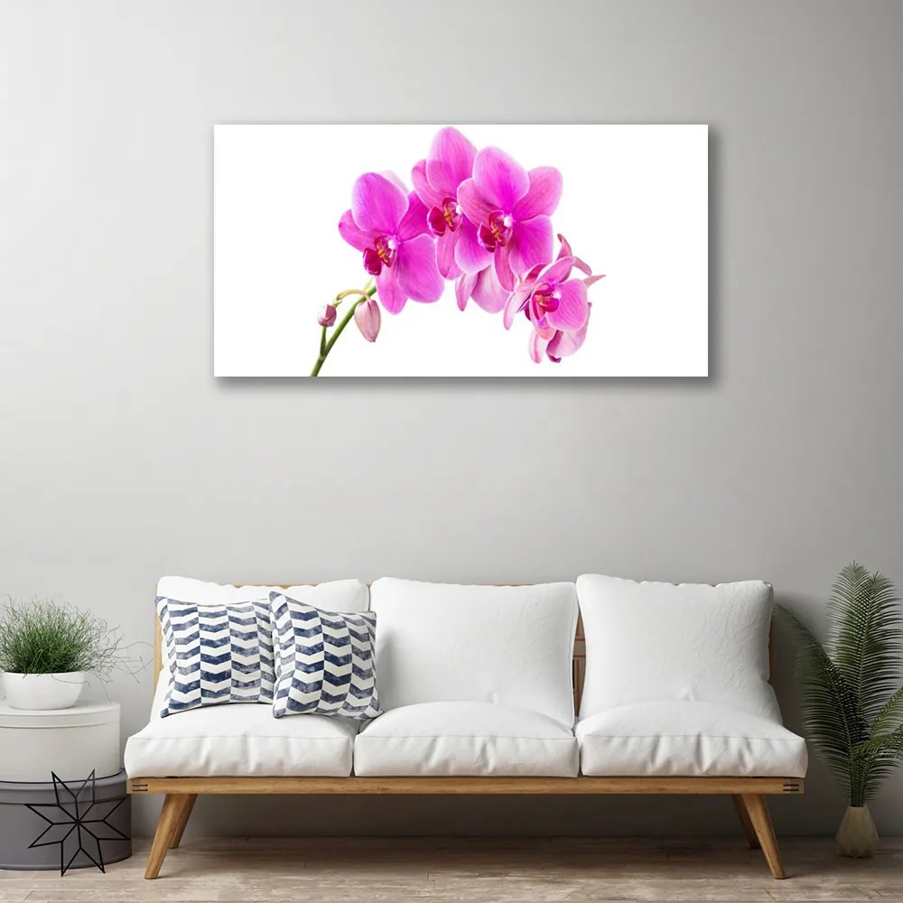 Obraz Canvas Vstavač kvet orchidea 100x50 cm