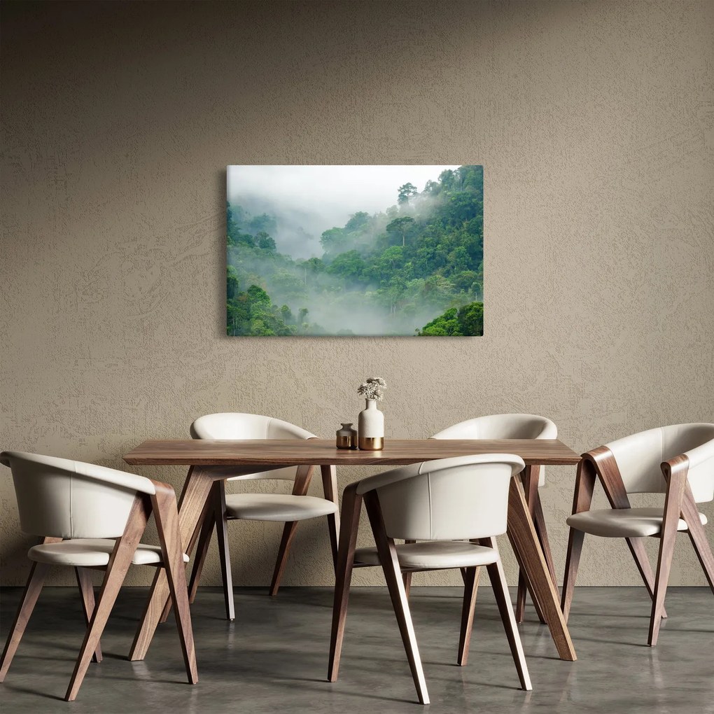 Obraz - Ranná hmla (90x60 cm)