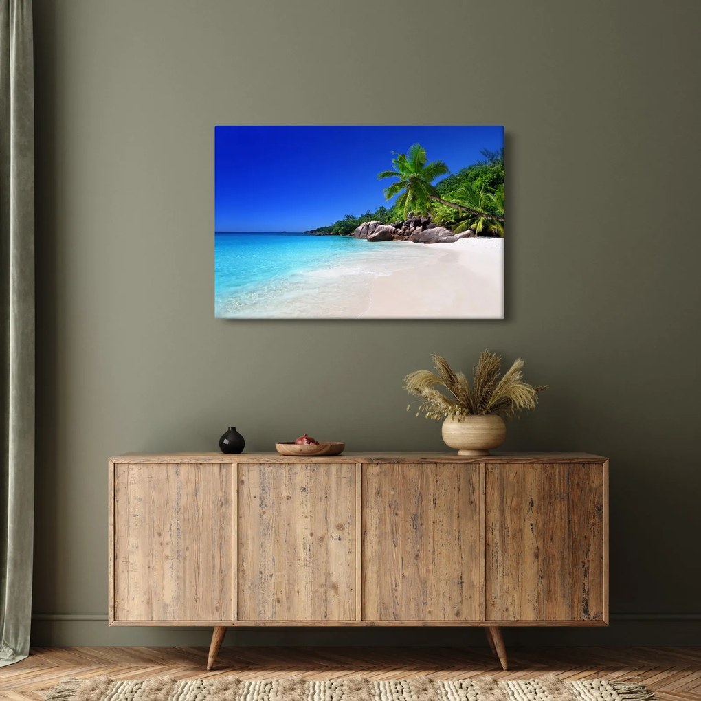 Obraz pláže na Praslin ostrove (90x60 cm)