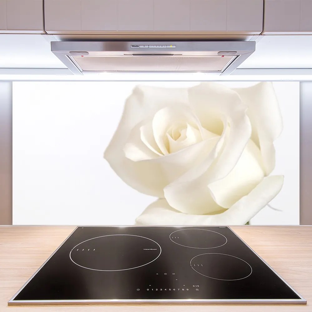 Sklenený obklad Do kuchyne Ruže kvety 125x50 cm