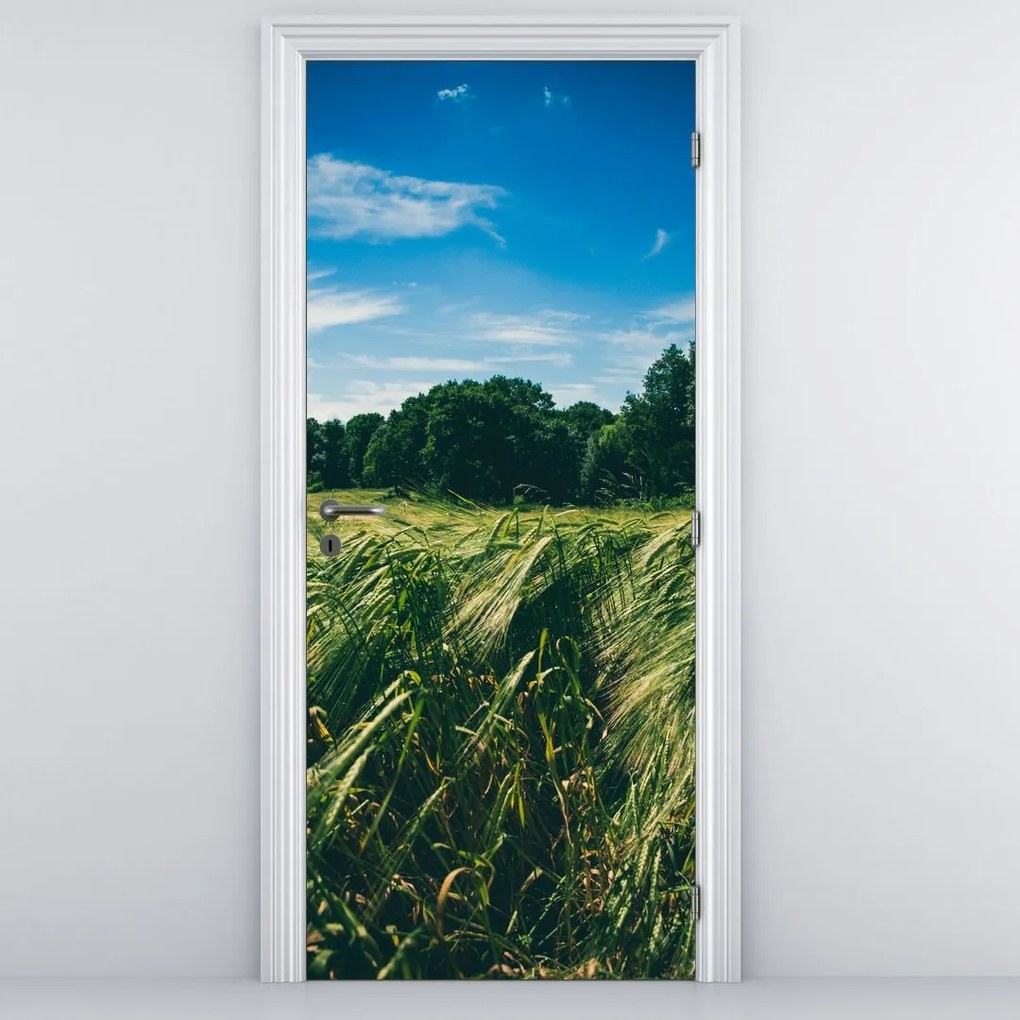 Fototapeta na dvere - Lúka a les (95x205cm)