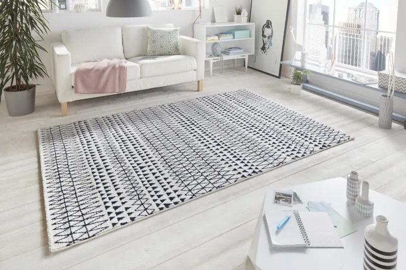 Mint Rugs - Hanse Home koberce Kusový koberec Madison 102779 Schwarz Creme - 200x290 cm