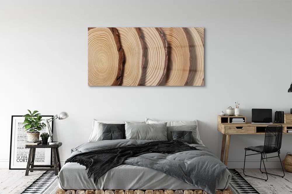 Obraz plexi Plátky obilia dreva 140x70 cm