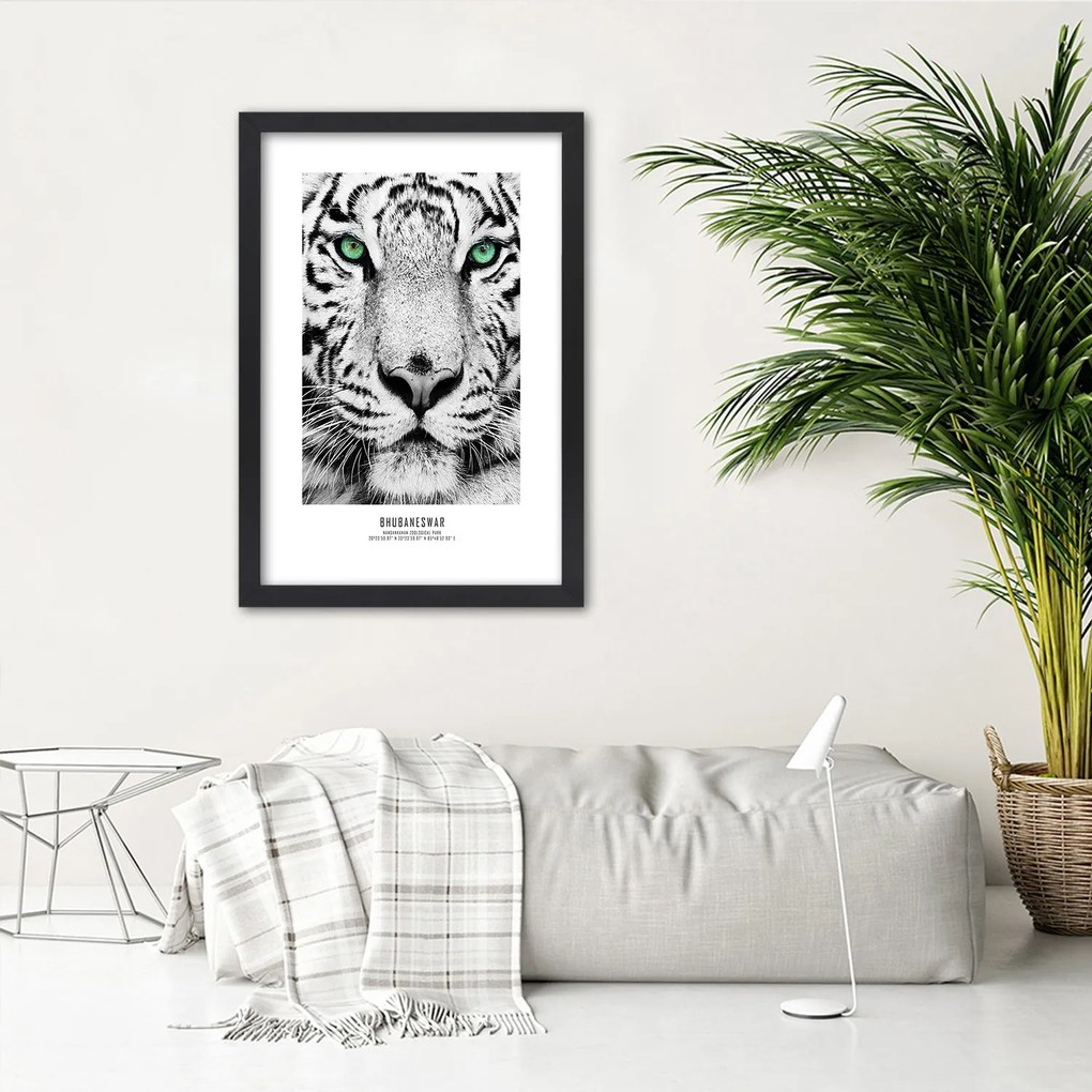 Gario Plagát Biely tiger Farba rámu: Bez rámu, Rozmery: 40 x 60 cm