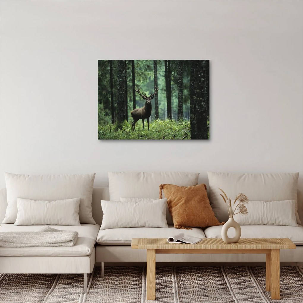 Obraz - Jeleň v hlbokom lese (70x50 cm)