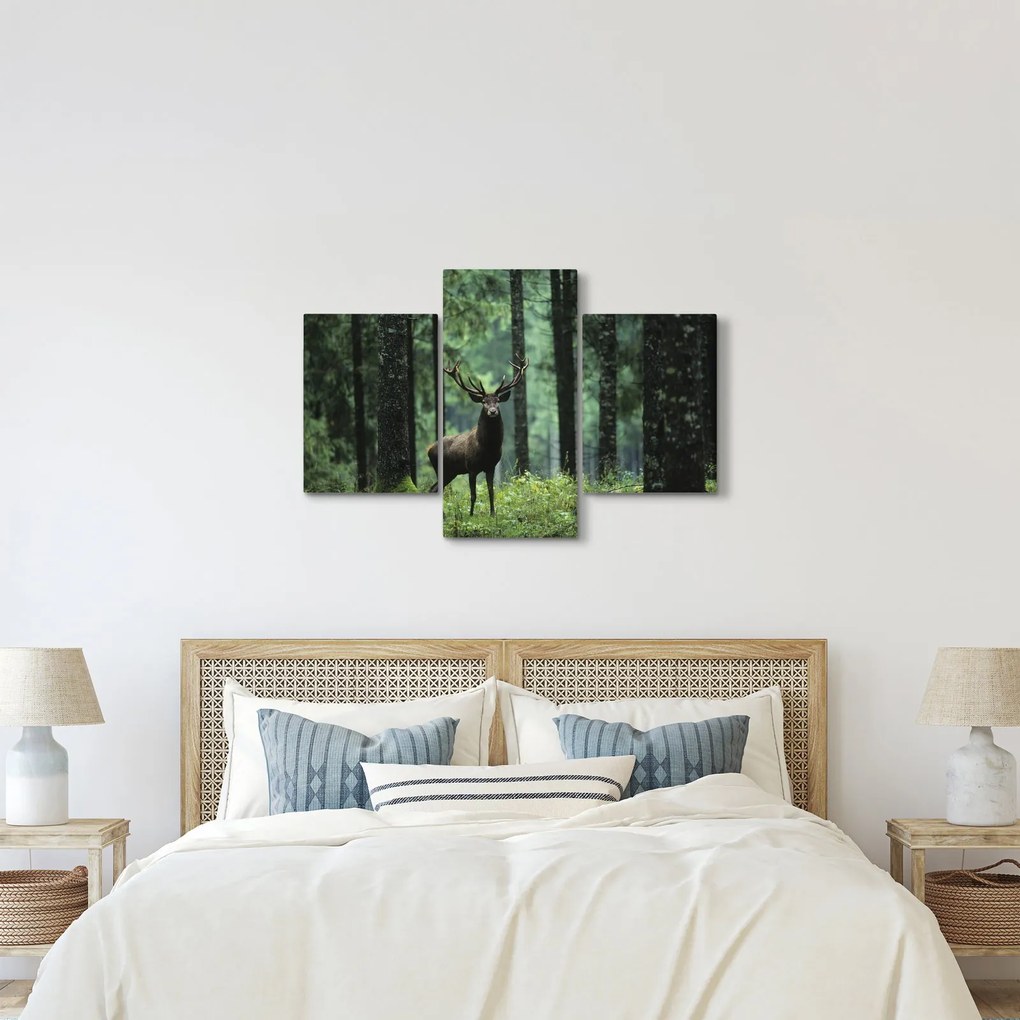 Obraz - Jeleň v hlbokom lese (90x60 cm)