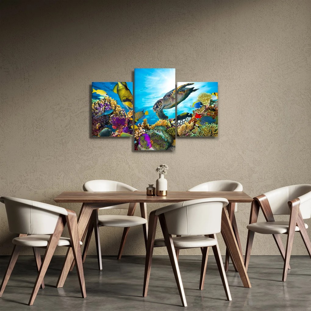 Obraz koralového útesu (90x60 cm)