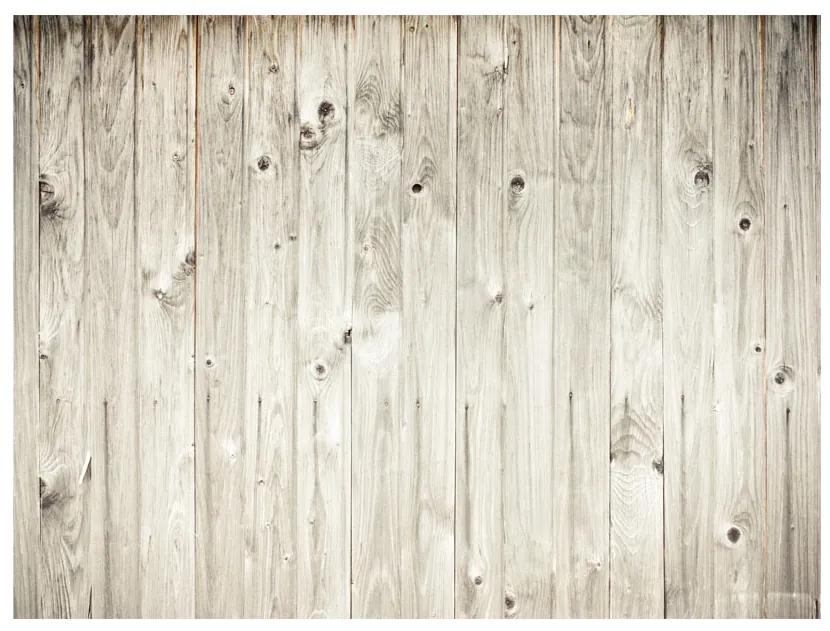 Artgeist Fototapeta - Wood fence Veľkosť: 400x309, Verzia: Standard