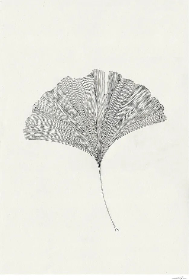 The Poster Club Plagát Ginkgo Leaf by Ana Frois 30x40 cm