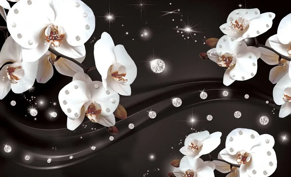Fototapeta - Orchidea (152,5x104 cm)