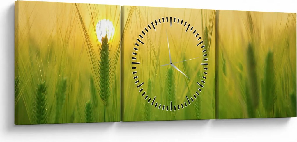 Obraz - Pole s obilím (s hodinami) (90x30 cm)