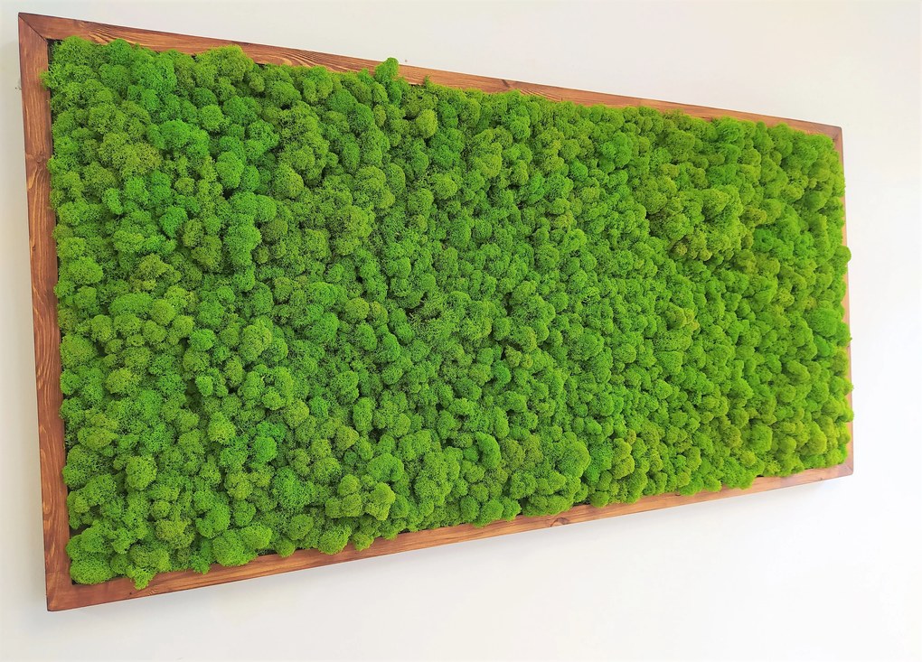Machový obraz 60cm x 120cm
