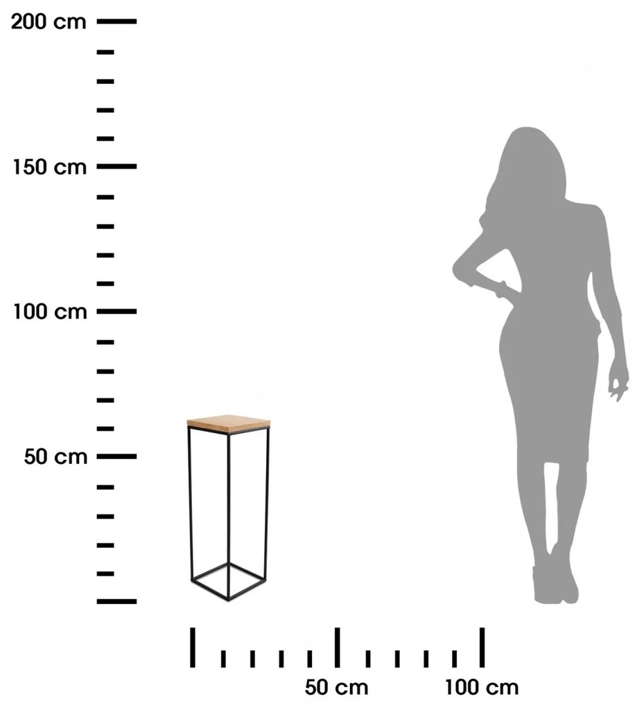 Kvetinový stojan CHARR 60 cm čierny/dub lancelot