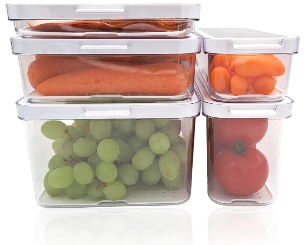 Rotho Organizér do chladničky, s vekom a špeciálnou podložkou 2,15l CAUMA