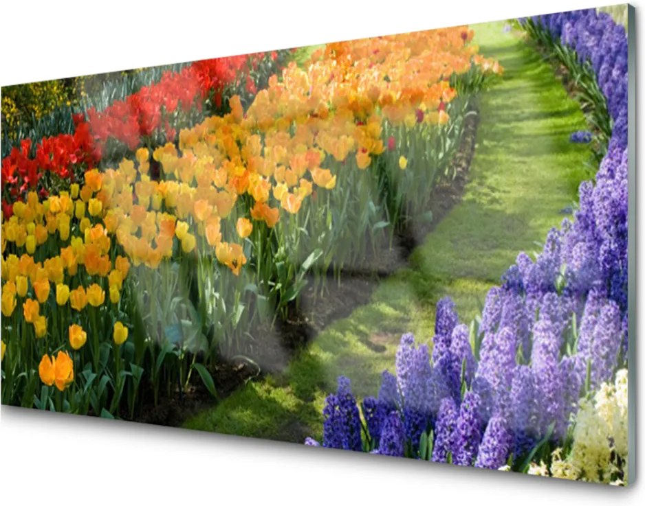 Skleněný obraz Květiny Zahrada Tulipány